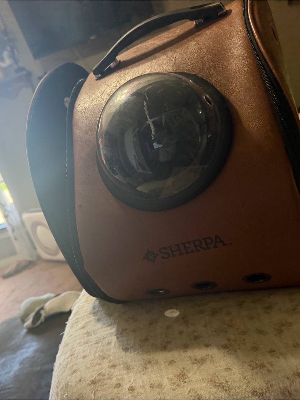 Brown Bubble-Window Cat Carrier Backpack
